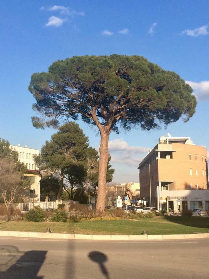 Residence Al Pino Matera Zewnętrze zdjęcie